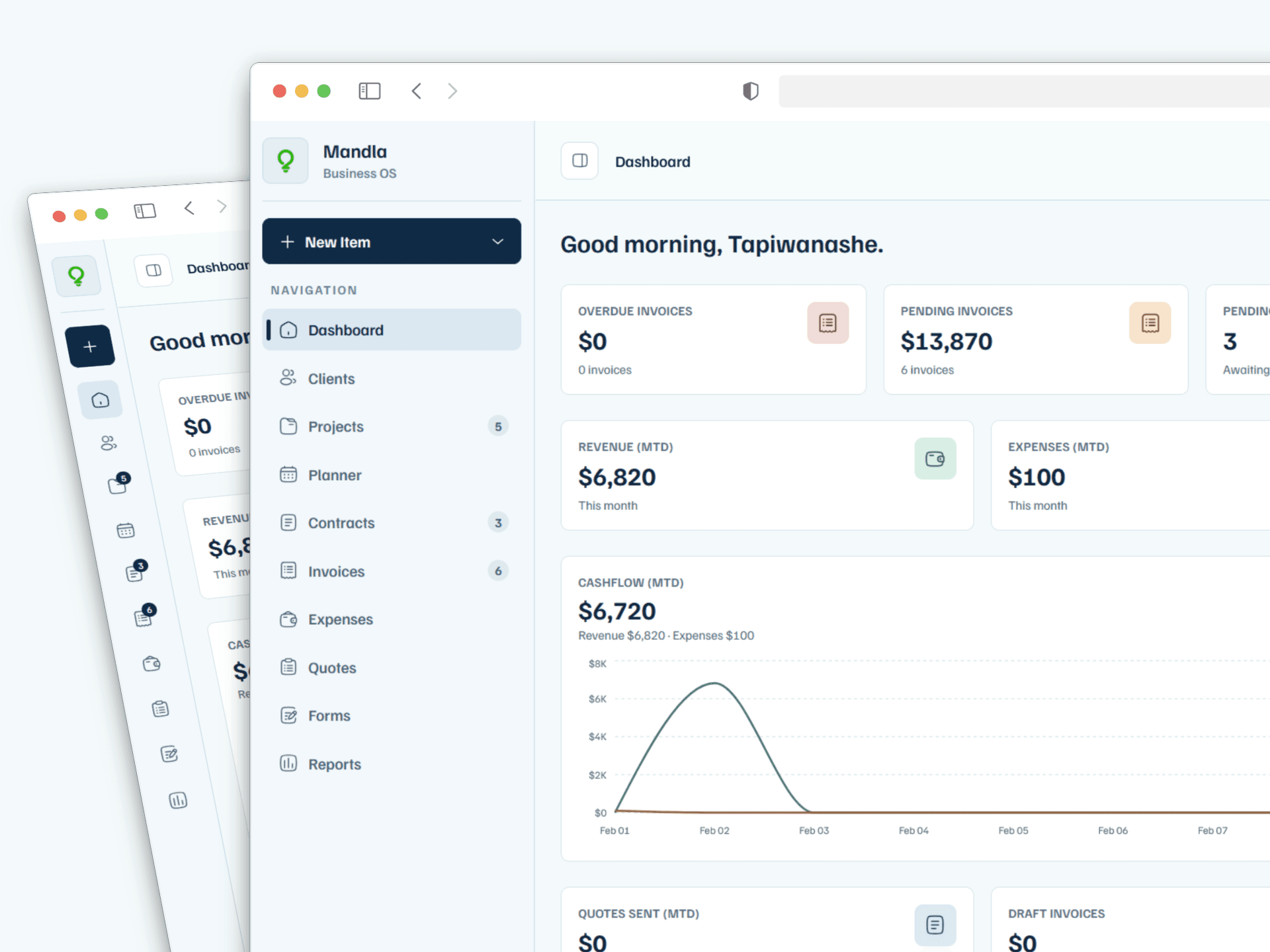 Mandla dashboard showing clients, invoices, projects, and business metrics