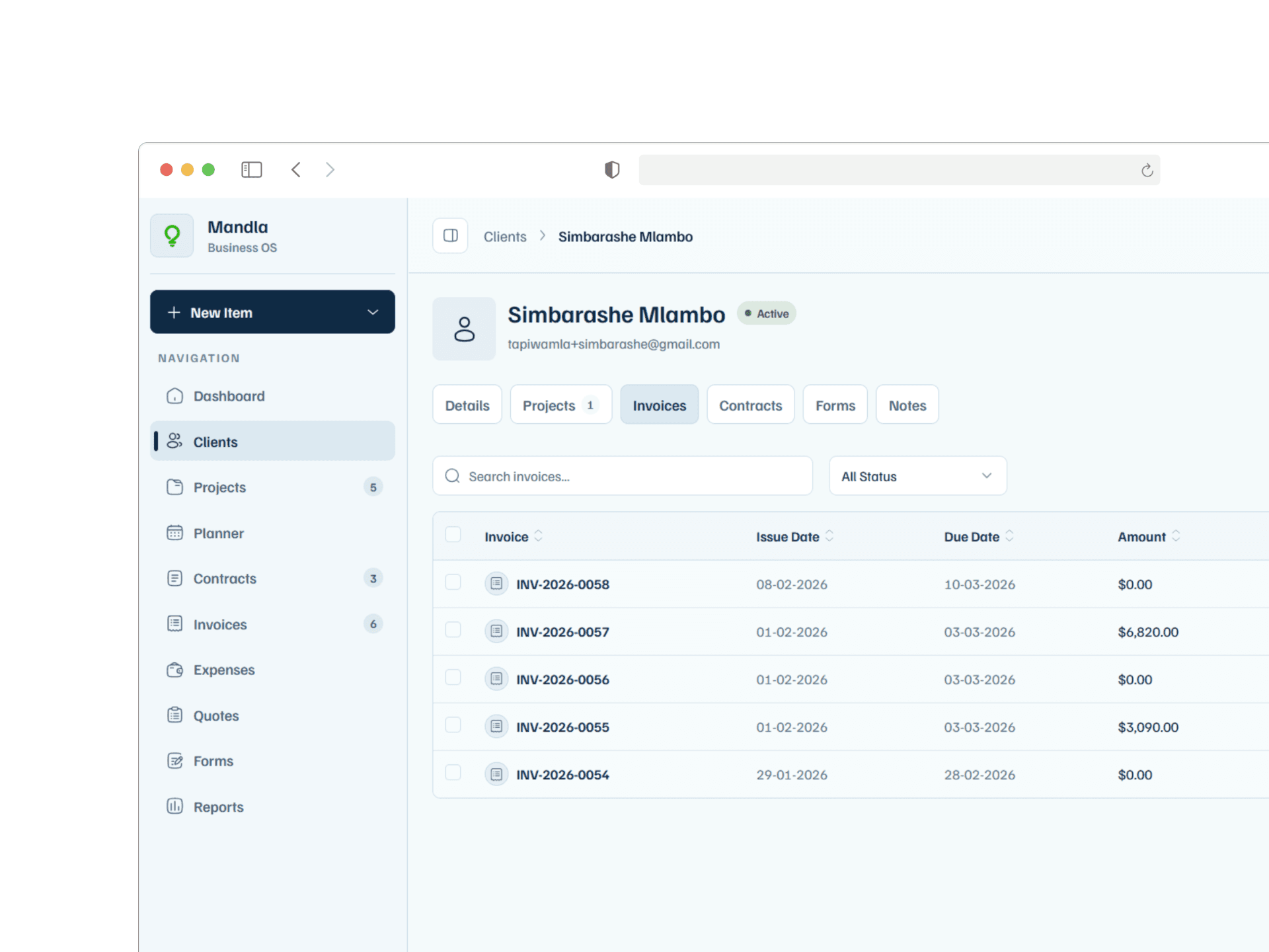 Mandla client details page showing contact info, projects, and billing